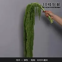 амарант зеленый