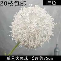 опт 10 штук одуванчик белый