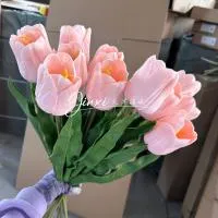 тюльпан 5 штук розовый