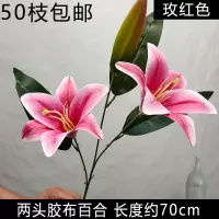 лилия двойная фуксия