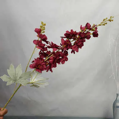 дельфиниум двойной бордовый