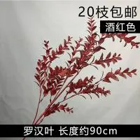 10 штук опт листья архата бордовый