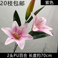 лилия двойная фиолетовая