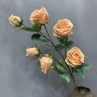 кустовая роза премиум светло-оранжевый