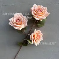 премиум опт 5 штук тройная роза кремовый