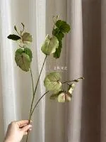 премиум ветка бегонии розовинка