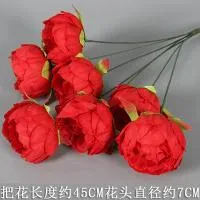 букет пионов 7 голов красный