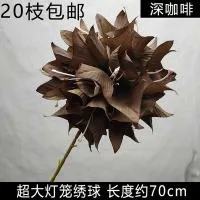 опт 10 штук шаровидная острые листы гортензия коричневая