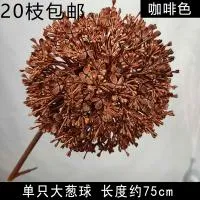 опт 10 штук одуванчик коричневый