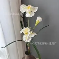 премиум опт 5 штук ирис белый