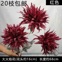 Букет огромных махровых одуванчиков, бордовый