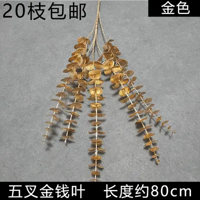 эвкалипт золото