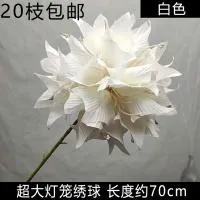 опт 10 штук шаровидная острые листы гортензия белая