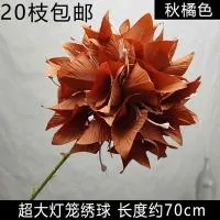 опт 10 штук шаровидная острые листы гортензия карамельный