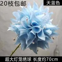 опт 10 штук шаровидная острые листы гортензия голубая