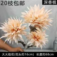 Букет огромных махровых одуванчиков, бежевый