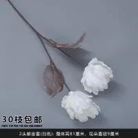 двойной тюльпан белый