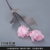 двойной тюльпан розовый