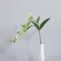 ампельный морозник опт 10 штук  светло-зеленый