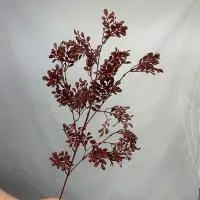 10 штук ветка арахиса бордовый