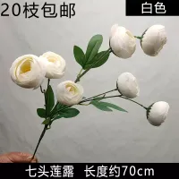 ветка ранункулюса белый