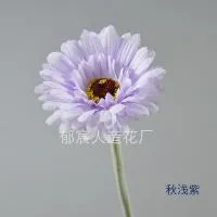 гербера светло-фиолетовый