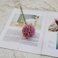 одуванчик фиолетовый