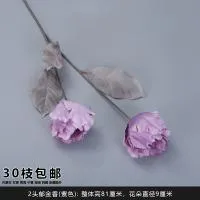 двойной тюльпан фиолетовый