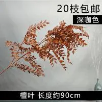 10 штук опт листья сандала коричневый