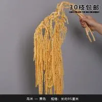 амарант желтый