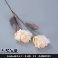 двойной тюльпан айвори