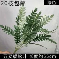 Листья акации зеленые