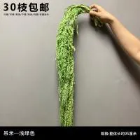 амарант светло-зеленый