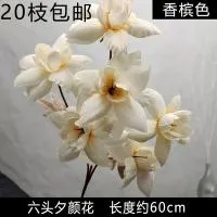 Букет жасмин бежевый