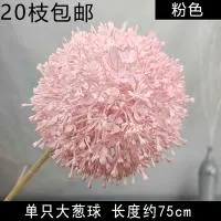 опт 10 штук одуванчик розовый