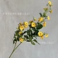 мелкоцвет с зеленью желтый