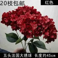 букет гортензий 5 голов бордовый