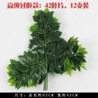 пачка 12 штук лист бадьяна  зеленый