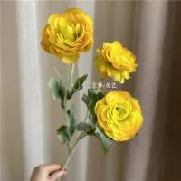 премиум ранункулюс желтый