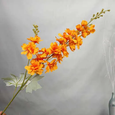 дельфиниум двойной оранжевый