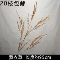 лаванда золото