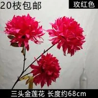 настурция трехголовая фуксия