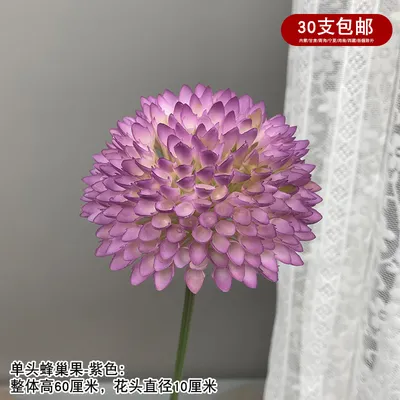 лук сотовый фиолетовый