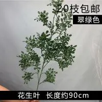 10 штук ветка арахиса зеленый