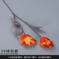 двойной тюльпан оранжевый