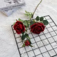 кустовая роза три шт на ветке красная