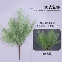 львиный зев светло-зеленый