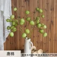 зеленый фрукт 2 шт зеленый