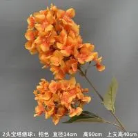 гортензия садовая двойная ткань оранжевый