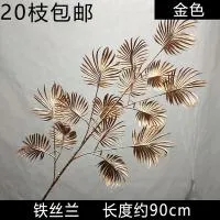 юкка золото